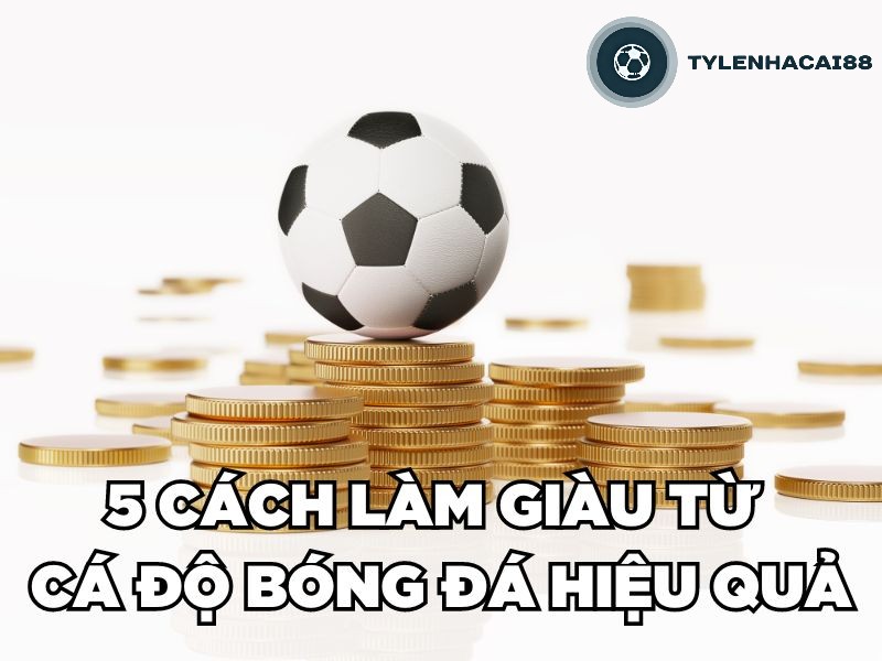 5 cách làm giàu từ cá độ bóng đá hiệu quả