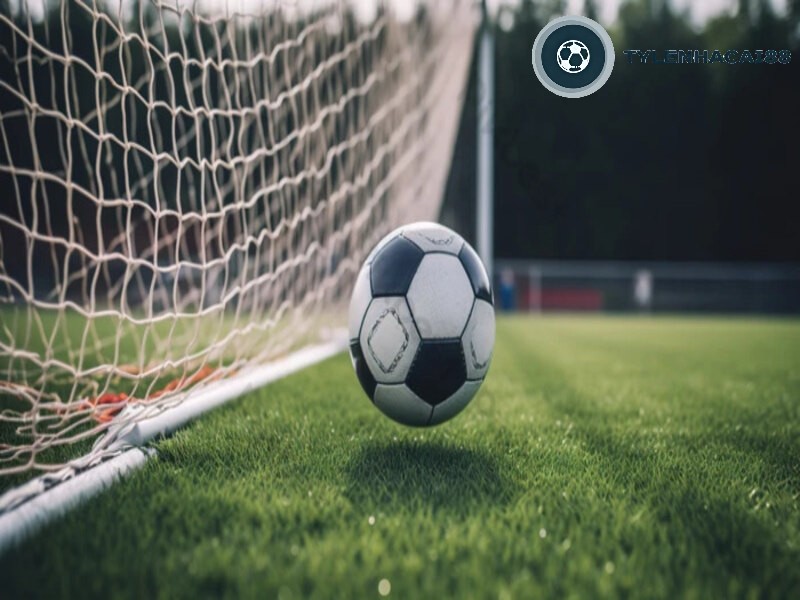 Tiêu chí trở thành cò bóng đá chuyên nghiệp