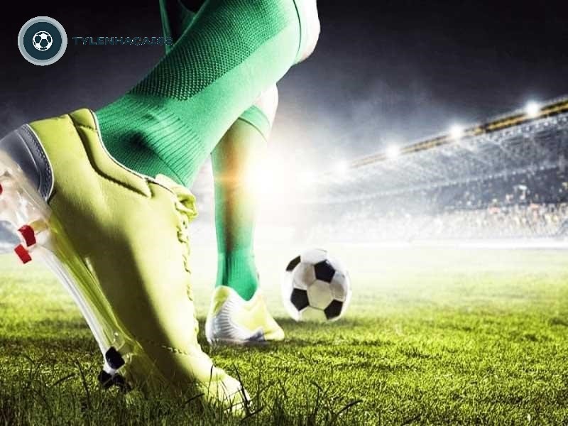 Tham khảo cách nhà cái ra kèo để đưa ra quyết định cá cược