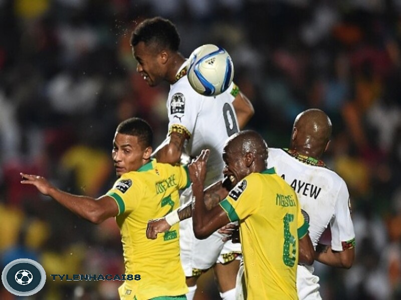 Danh hiệu nổi bật của đội tuyển bóng đá Nam Phi