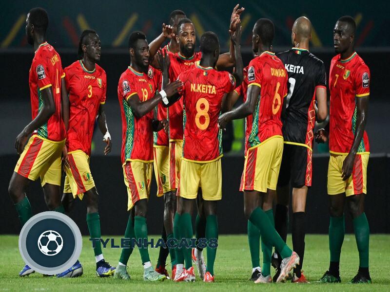 Hành trình lịch sử của đội tuyển bóng đá Guinea