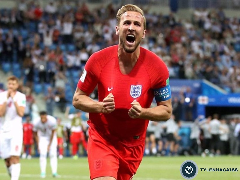 Những thành tích đã đạt được