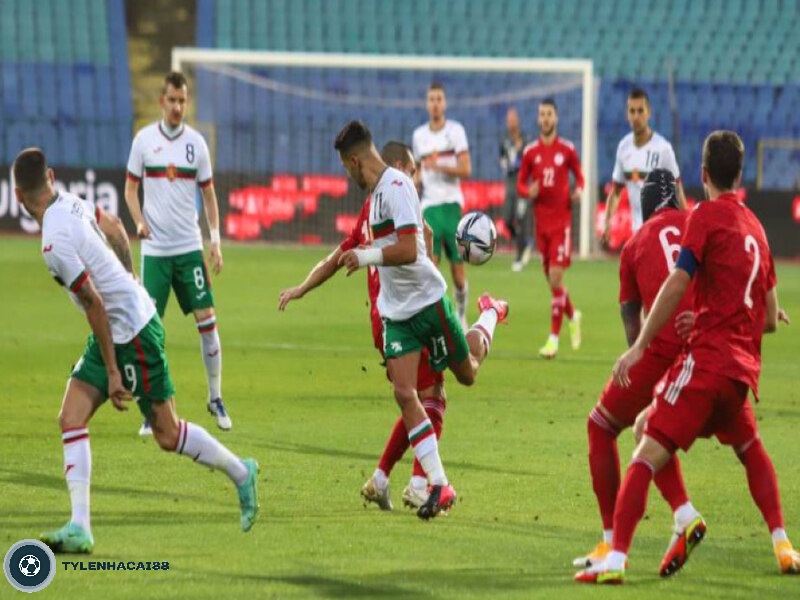 Những thành tích nổi bật đã đạt được