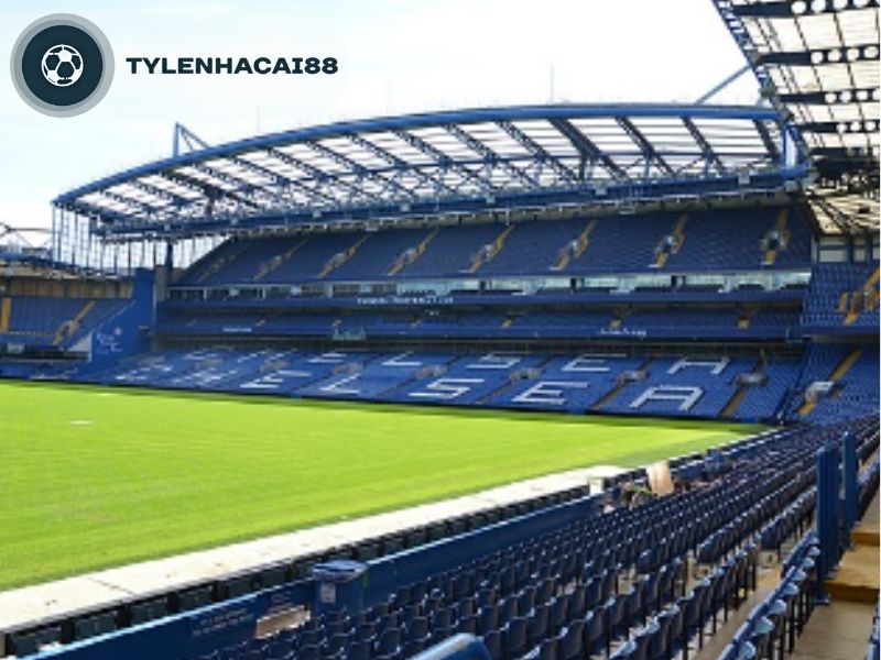 Sự đầu tư của chính phủ vào bóng đá