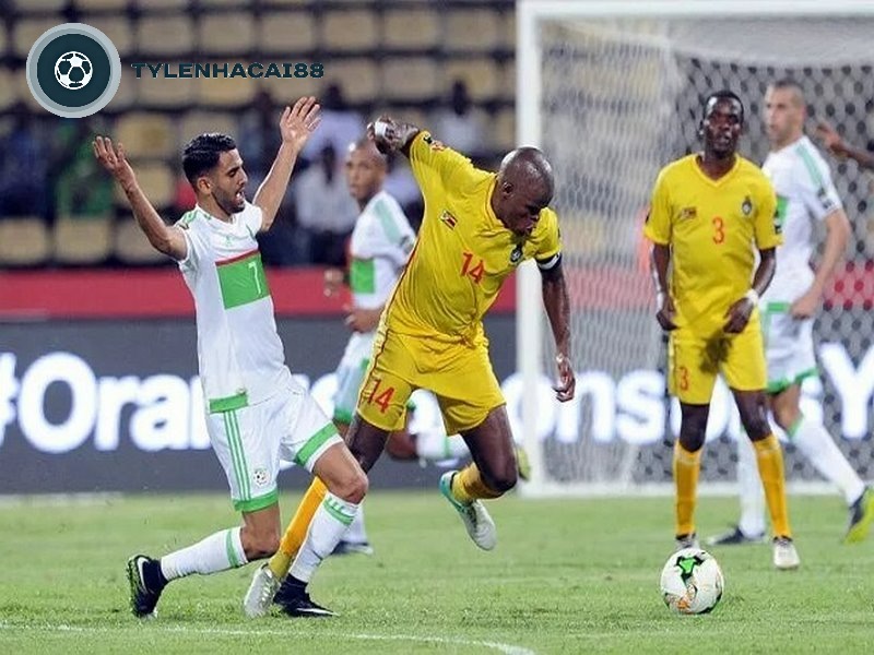 Các thành tích của đội tuyển bóng đá Zimbabwe