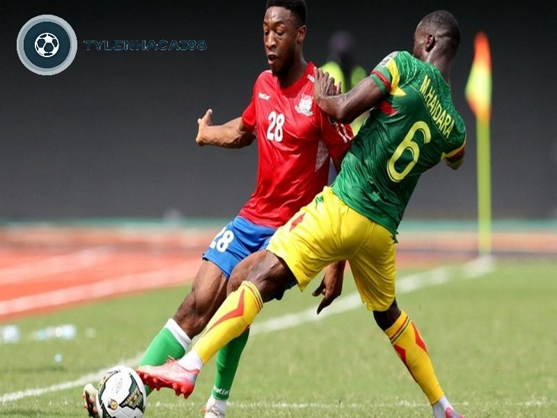 Dàn cầu thủ hiện tại của Đội tuyển bóng đá Gambia