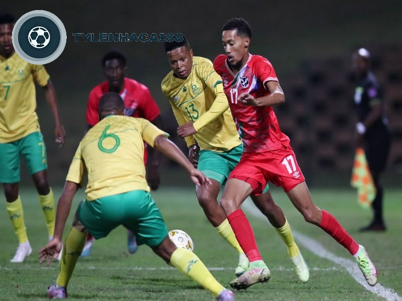 Đội hình của đội tuyển bóng đá Namibie