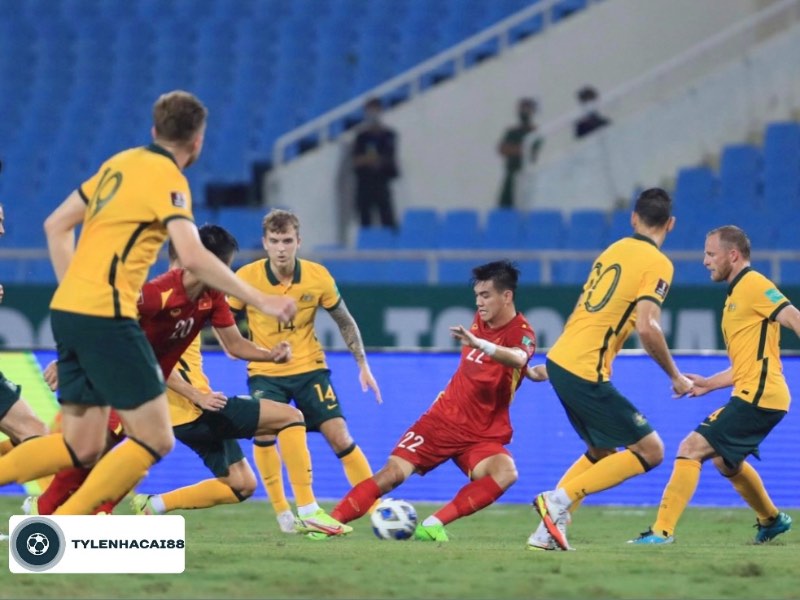 Đội tuyển bóng đá Australia ghi nhiều thành tích nổi bật tại châu lục