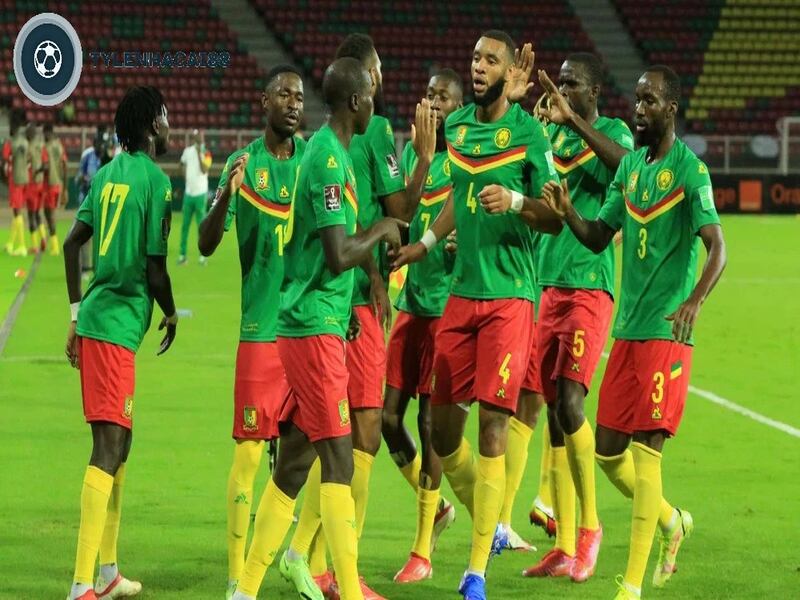 Đội tuyển bóng đá Cameroon thi đấu ấn tượng tại AFCON