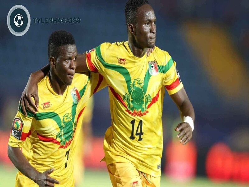 Đội tuyển bóng đá Mali thành công tại giải U17
