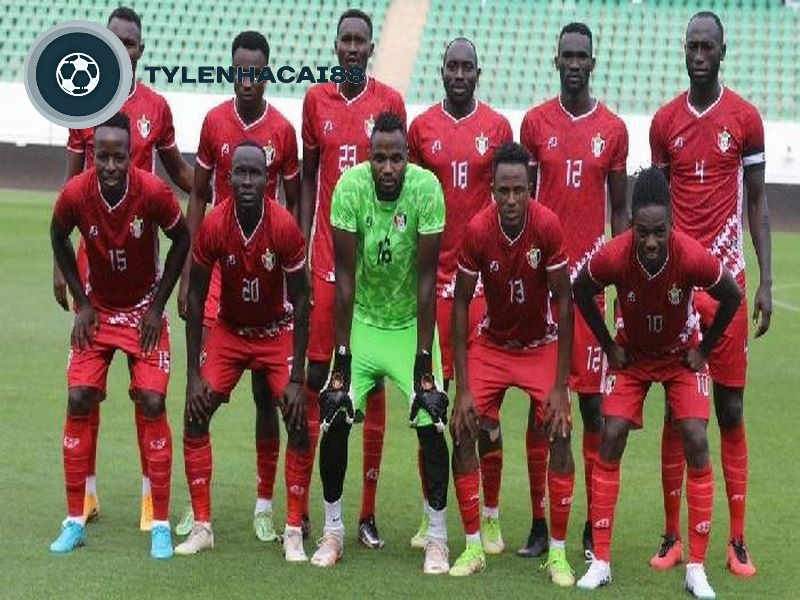 Đội tuyển bóng đá Sudan còn được biết đến với biệt danh Sokoor Al-Jediane