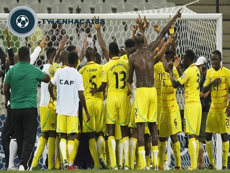 Đội tuyển bóng đá Togo sở hữu dàn cầu thủ tài năng chơi tại các câu lạc bộ lớn