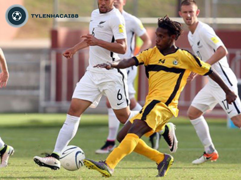 Thông tin khác về đội tuyển bóng đá Vanuatu năm 2024