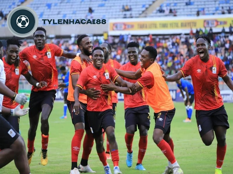 Đội tuyển có lịch sử thi đấu không mấy nổi bật tại World Cup