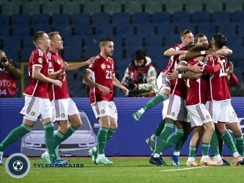 Đội tuyển quốc gia Hungary chuẩn bị cho euro 2024