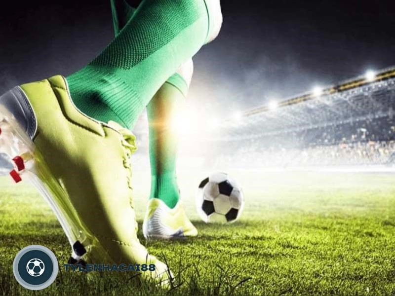 Nên tìm hiểu các tip từ cao thủ trước khi đặt cược