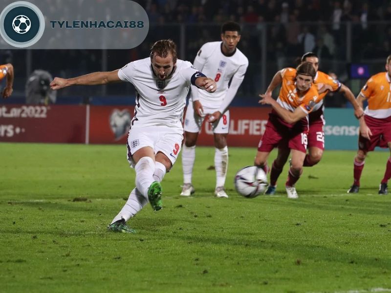 Sân vận động của đội tuyển như thế nào?