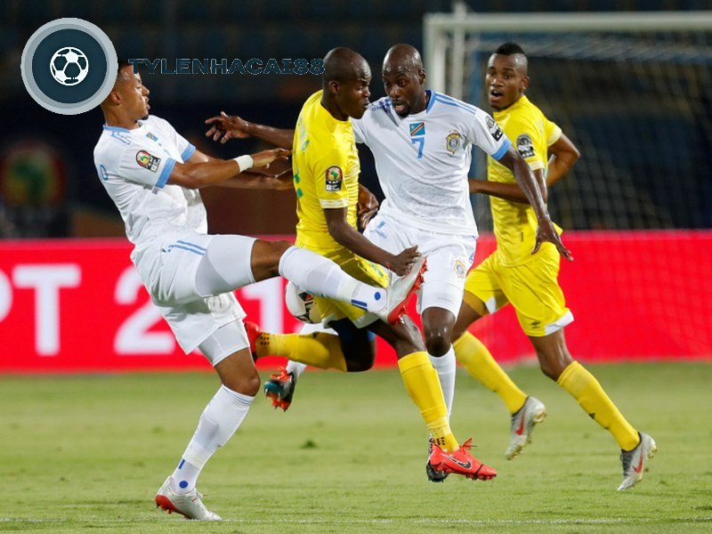 Sự ủng hộ bởi người hâm mộ của đội tuyển Benin