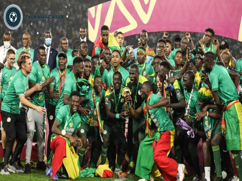 Thành tích ấn tượng của tuyển Senegal