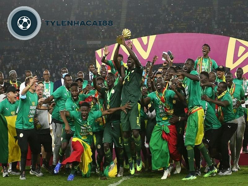 Thành tích đạt được của đội tuyển bóng đá Zambia