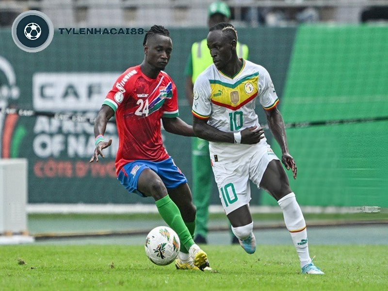 Thành tích mà đội tuyển bóng đá Gambia đạt được