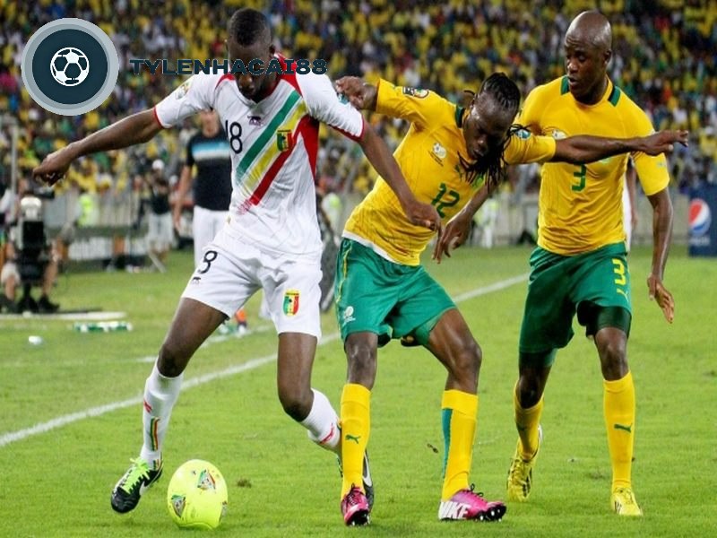 Thành tích nổi bật của đội tuyển bóng đá Namibia