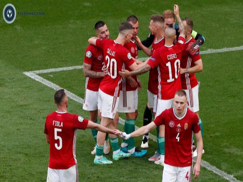 Theo dõi tin tức các đội đấu là một bí kíp soi kèo Euro cực hiệu quả