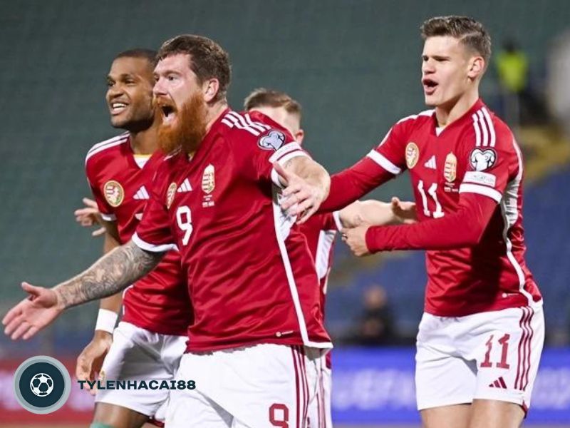Thông tin cơ bản về đội bóng Hungary