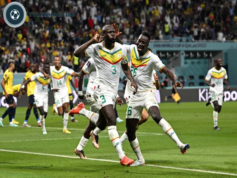 Thông tin nổi bật về đội tuyển bóng đá Senegal