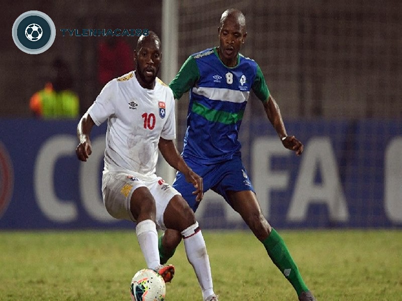 Thứ hạng Elo của đội đang nắm giữ tính từ 30/11 năm 2022 là 115 tăng 18